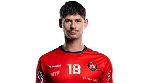18_levin_wanner_freigestellt.png